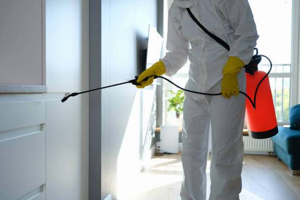Schoolcraft, MI Mold Remediation Company